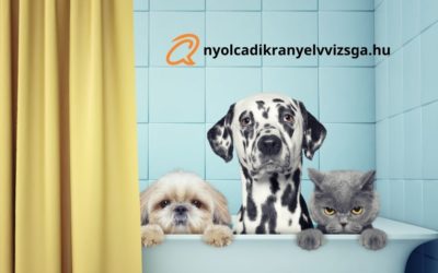 Biology – taxonomy